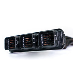 Chicote Plug and Play FT550 Civic SI (2006-2011)