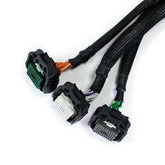 Chicote Plug and Play FT550 Civic SI (2006-2011)