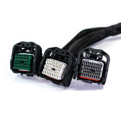 Chicote Plug and Play FT550 Civic SI (2006-2011)