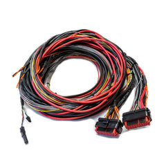 FTSPARK EXTREME harness